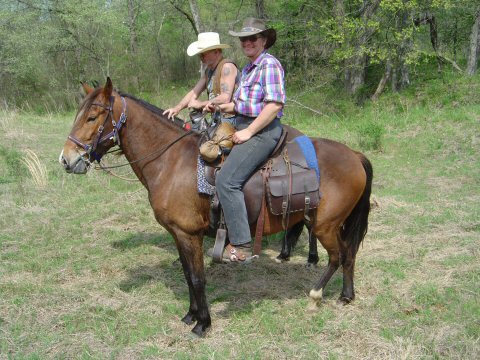 Spider and Nadine trail riding on Peruvian Paso geldings near Seminole, OK